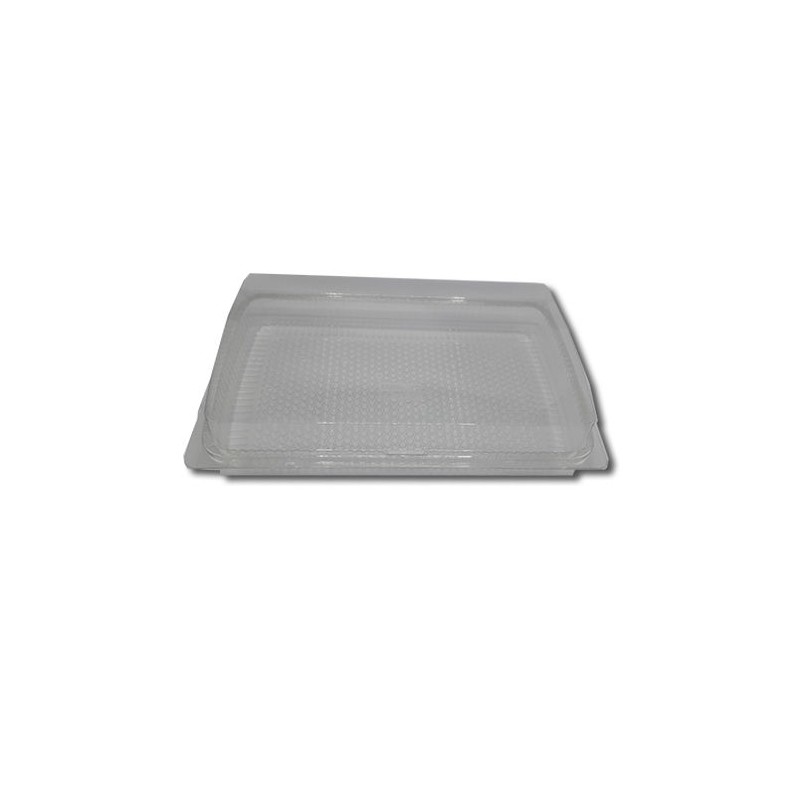 Envase Bisagra Plástico Rectangular