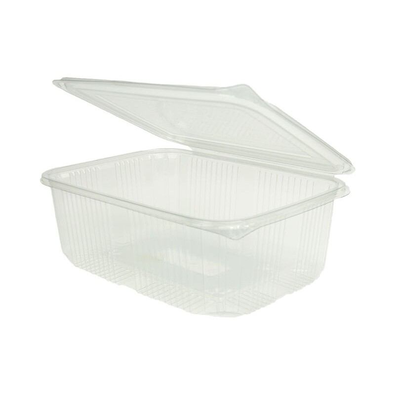 Envase Rectangular PET Transparente Tapa Bisagra
