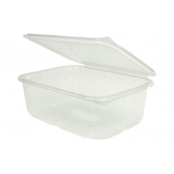 Envase Rectangular PET Transparente Tapa Bisagra