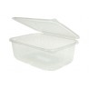 Envase Rectangular PET Transparente Tapa Bisagra