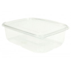 Envase Rectangular PET Transparente Tapa Bisagra