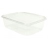 Envase Rectangular PET Transparente Tapa Bisagra