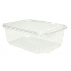 Envase Rectangular PET Transparente Tapa Bisagra