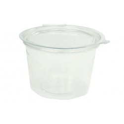 Tarrina Transparente con Tapa Bisagra