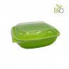 Ensaladera con Tapa & Base Verde Compostable