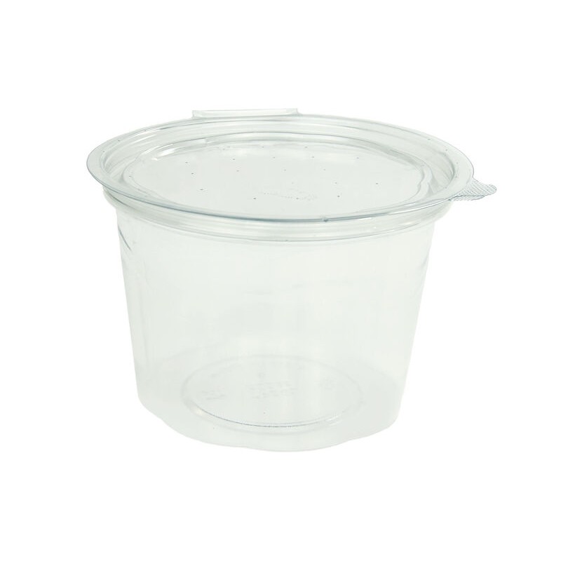 Tarrina Transparente con Tapa Bisagra