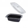 Envase Plástico + Tapa Bisagra Transparente para Microondas  PP