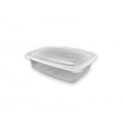 Envase Plástico + Tapa Bisagra Transparente para Microondas  PP