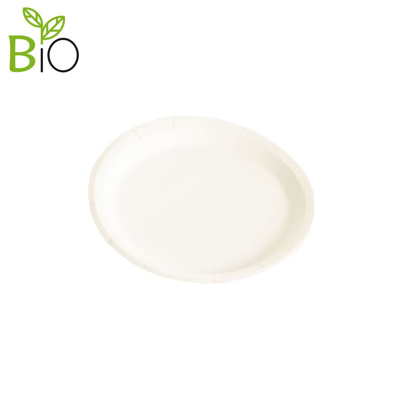 Plato de Papel 100%