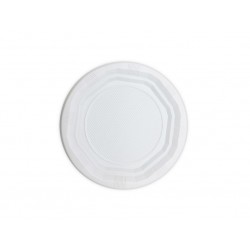 Plato de Plástico Reutilizable