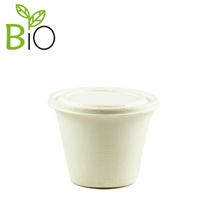 Tarrina Transparente con Tapa - Compostable